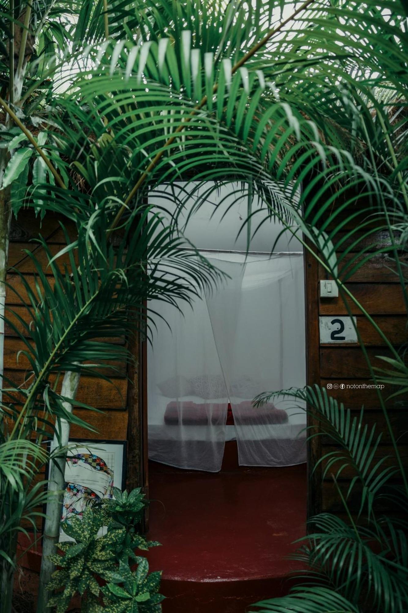 Hotel Wigwam Mandrem Zewnętrze zdjęcie
